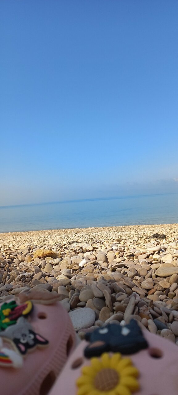 Гостиница Тимора Севастополь-23