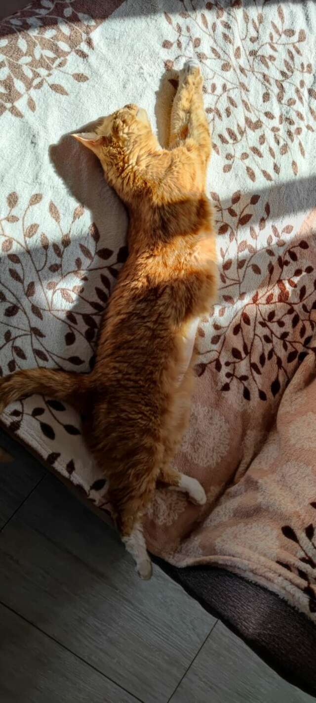 Гостиница Тимора Севастополь-30